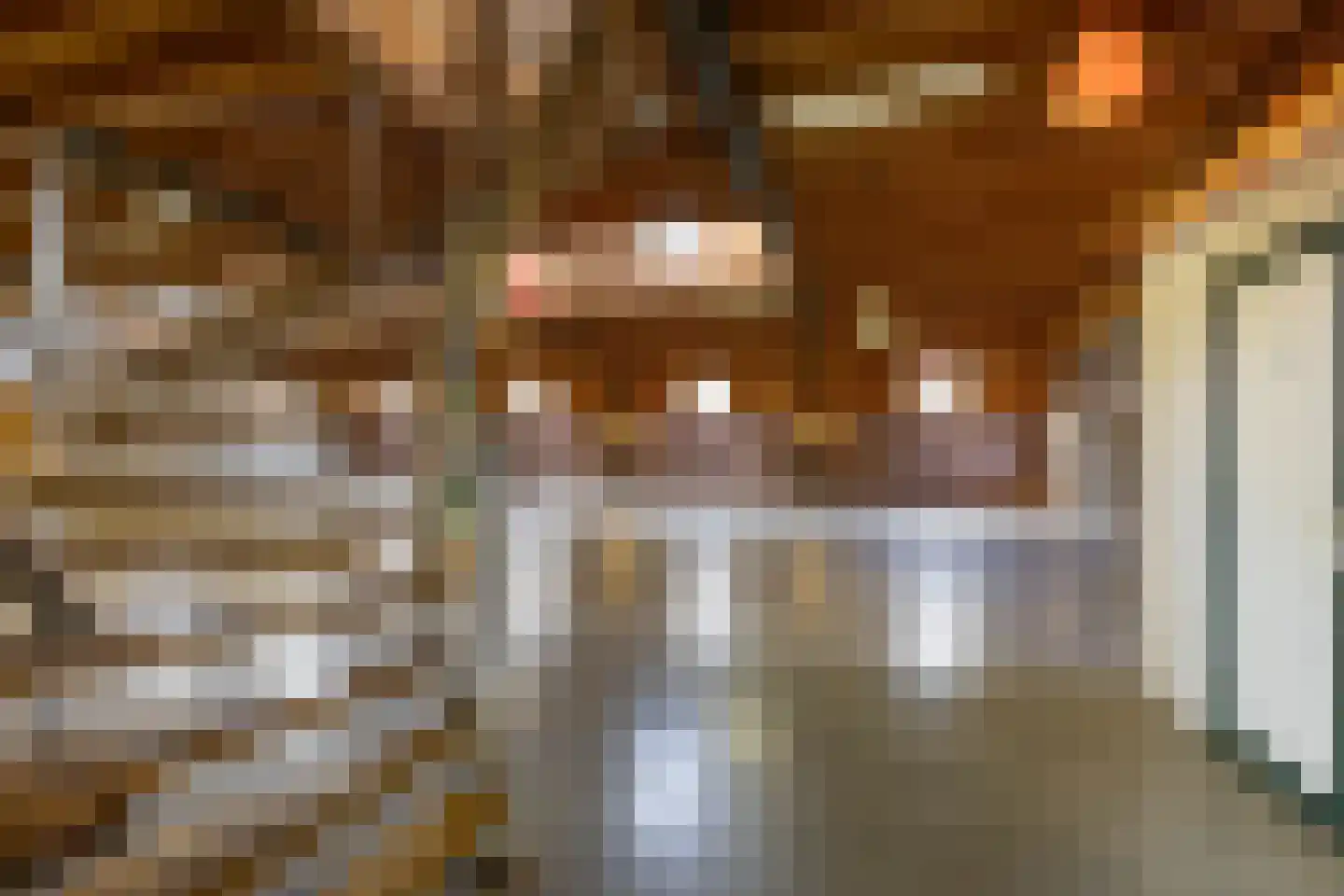 Oude Dijk 21 Bedum thumbnail 41