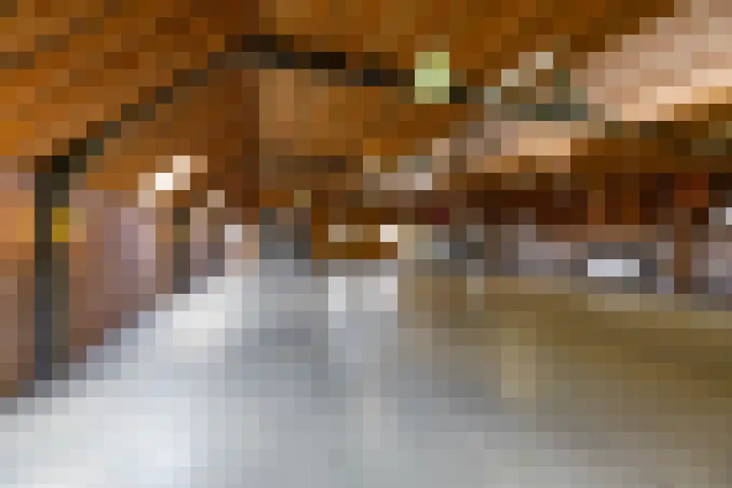 Oude Dijk 21 Bedum thumbnail 42