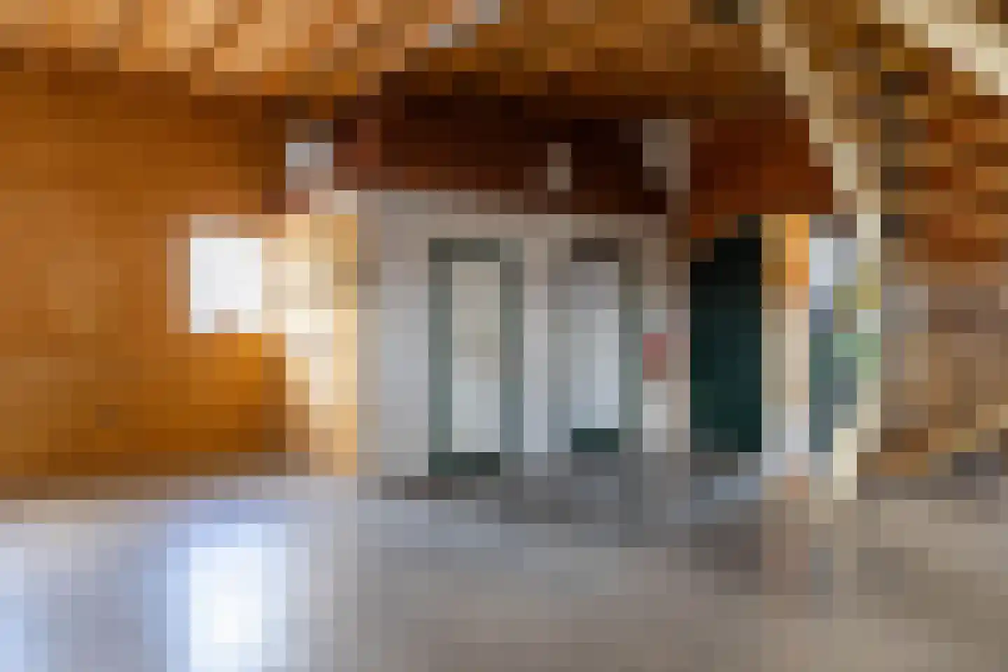Oude Dijk 21 Bedum thumbnail 43