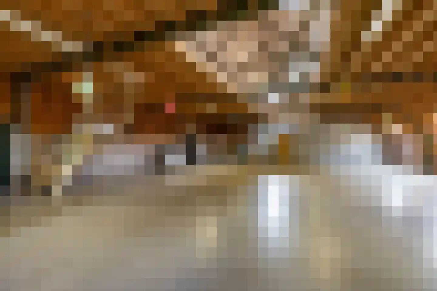 Oude Dijk 21 Bedum thumbnail 45