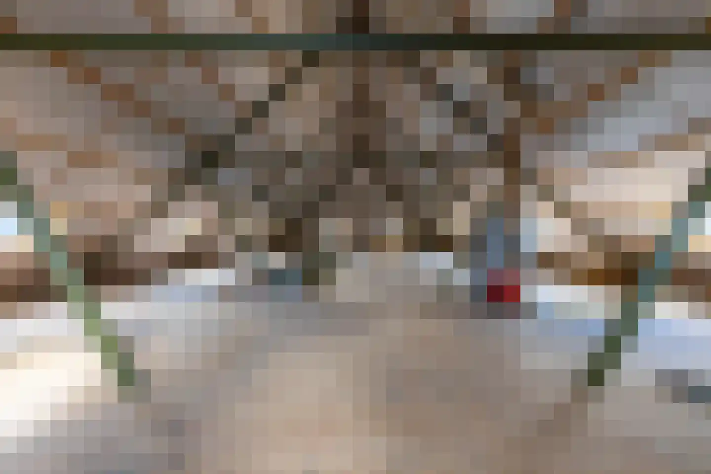 Oude Dijk 21 Bedum thumbnail 46