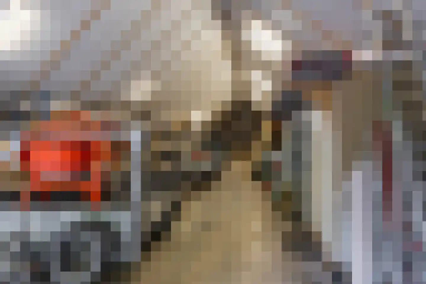 Oude Dijk 21 Bedum thumbnail 49