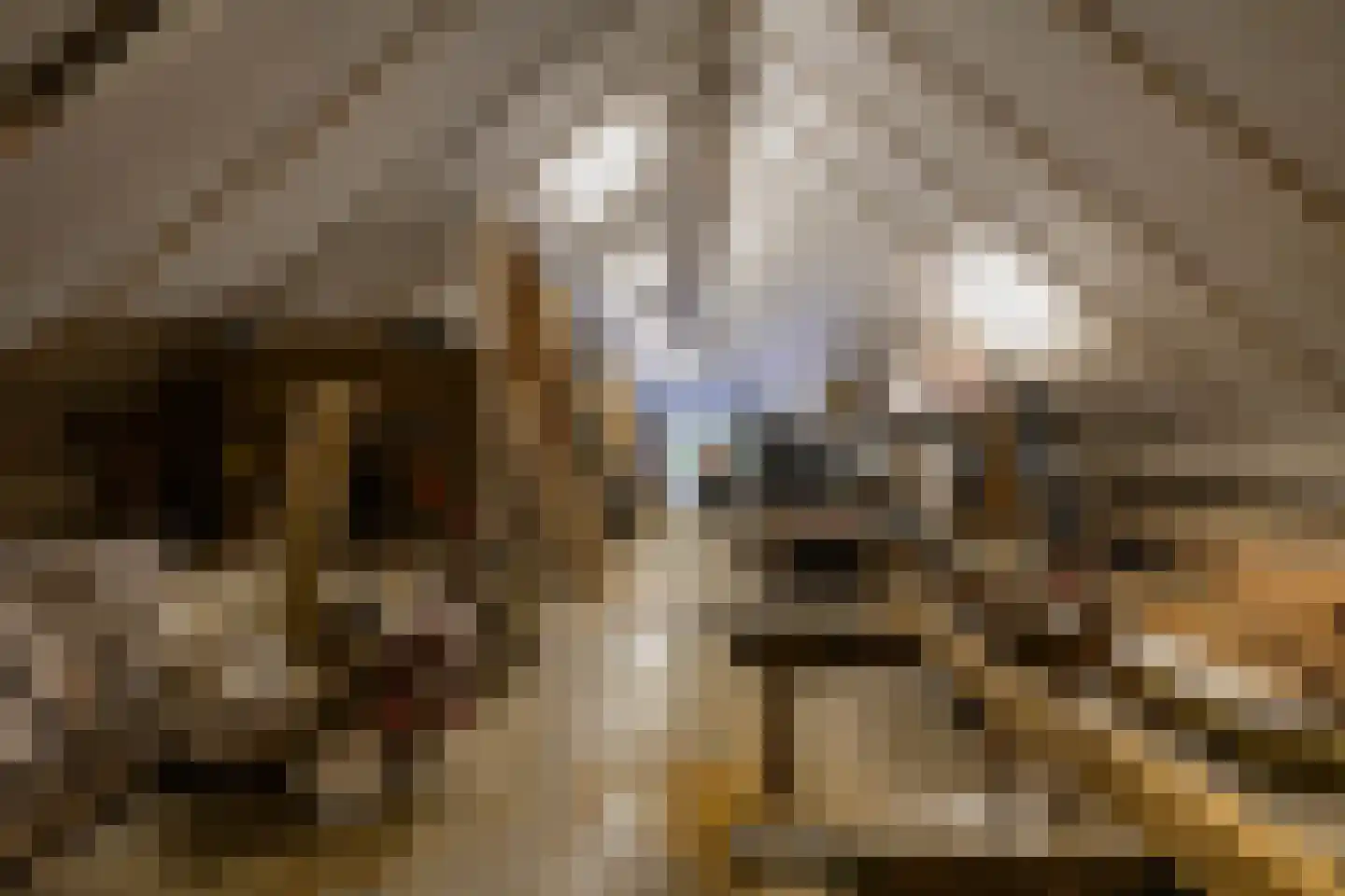 Oude Dijk 21 Bedum thumbnail 51