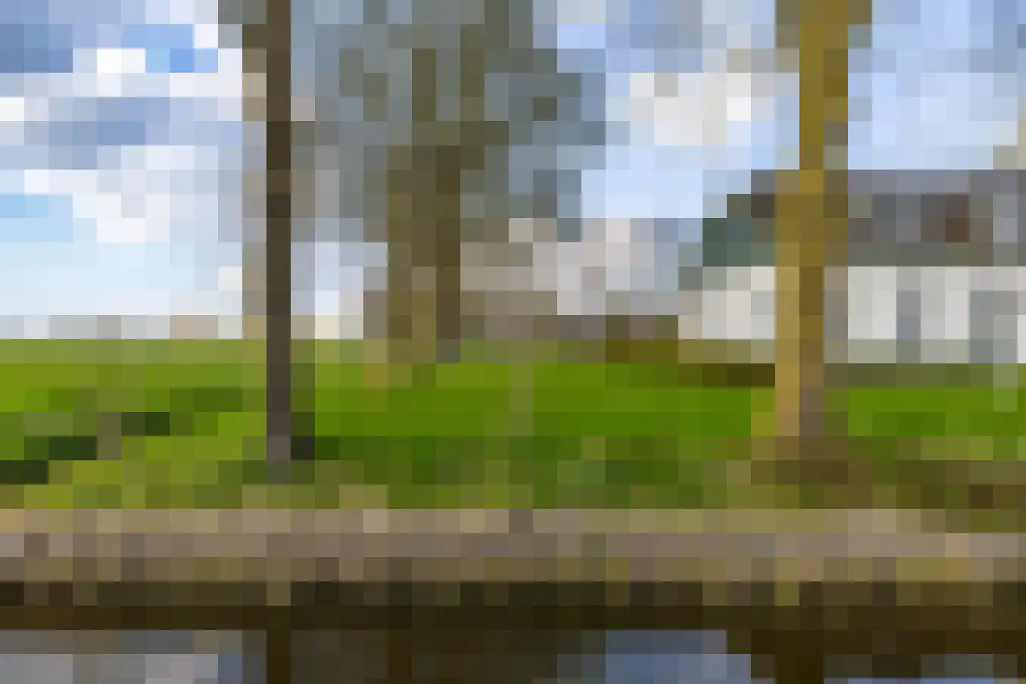 Oude Dijk 21 Bedum thumbnail 52