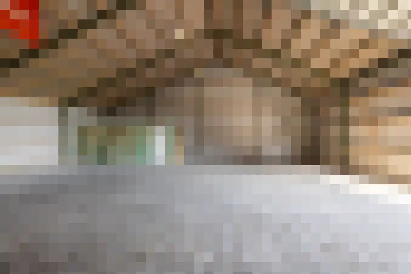 Oude Dijk 21 Bedum thumbnail 60