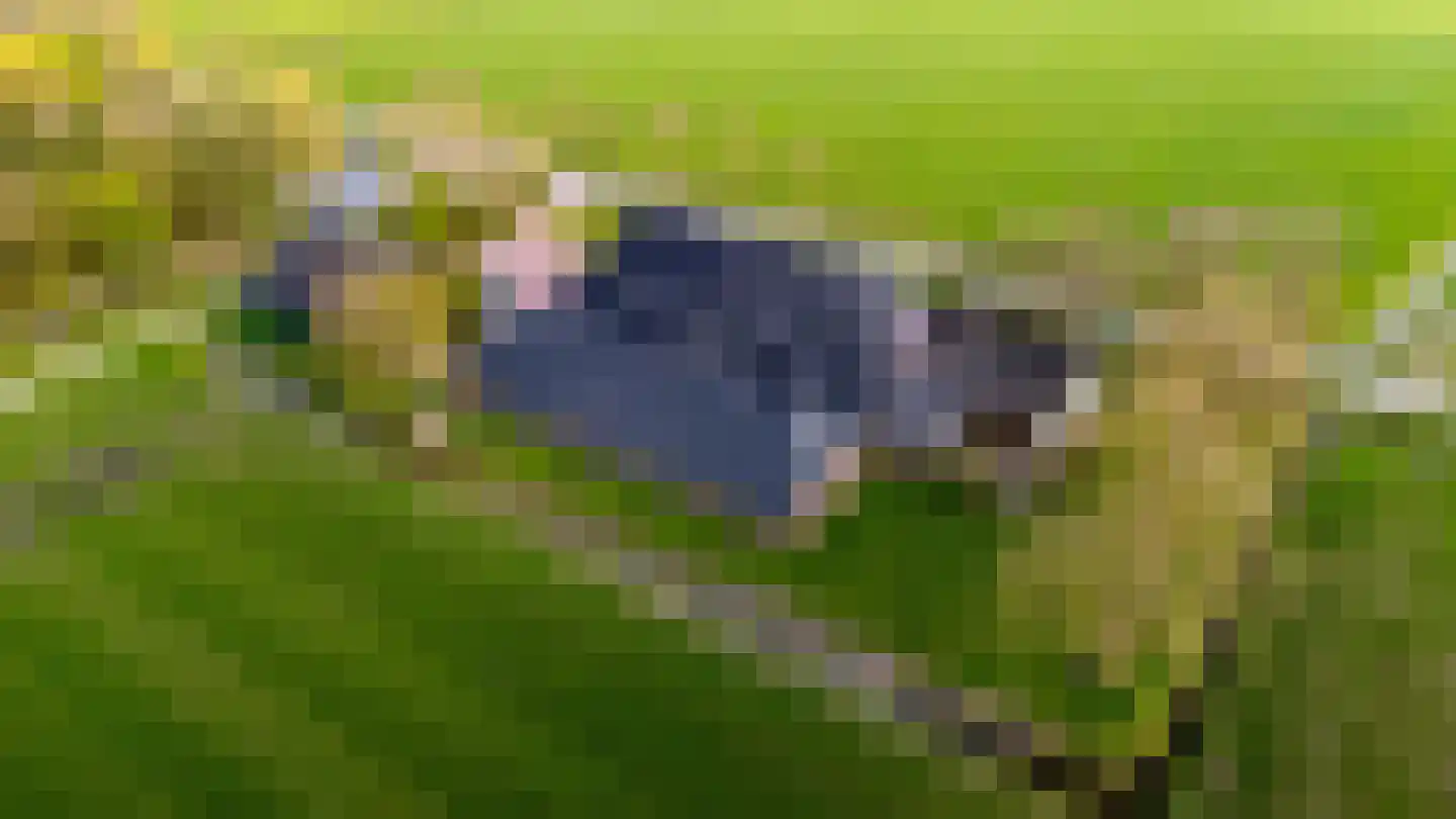 Oude Dijk 21 Bedum thumbnail 63