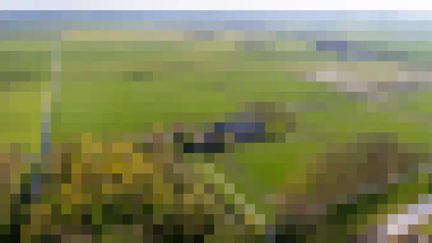 Oude Dijk 21 Bedum thumbnail 65