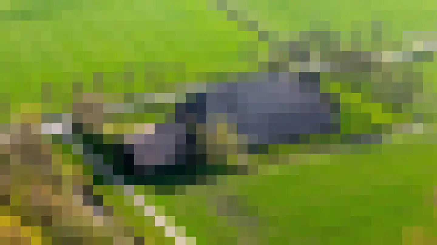 Oude Dijk 21 Bedum thumbnail 66
