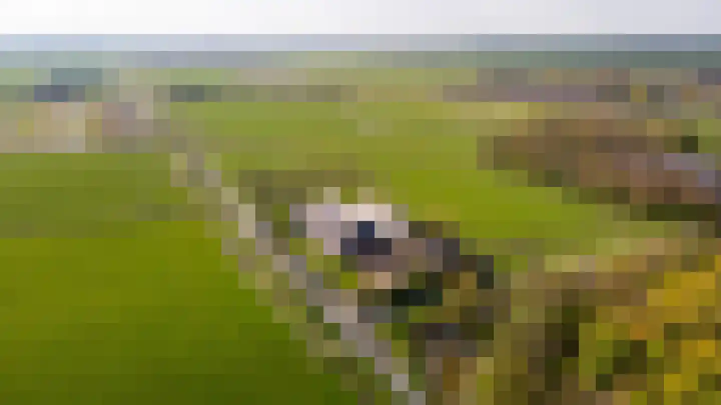 Oude Dijk 21 Bedum thumbnail 67