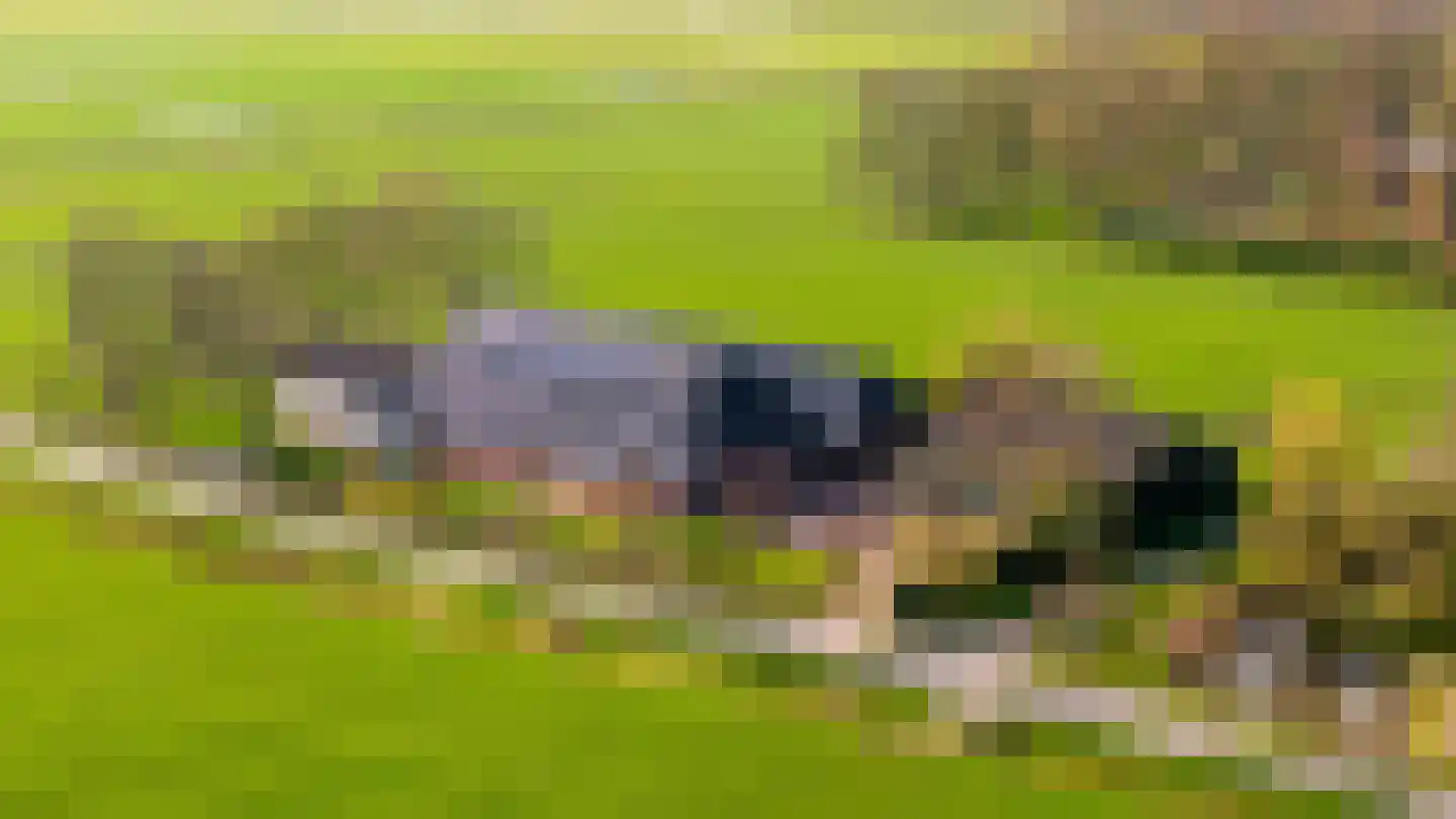Oude Dijk 21 Bedum thumbnail 68