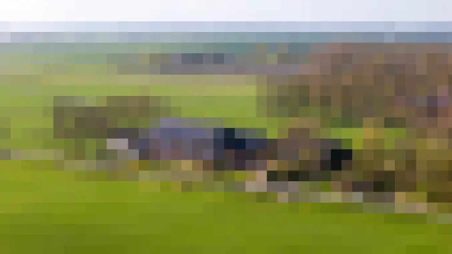 Oude Dijk 21 Bedum thumbnail 69