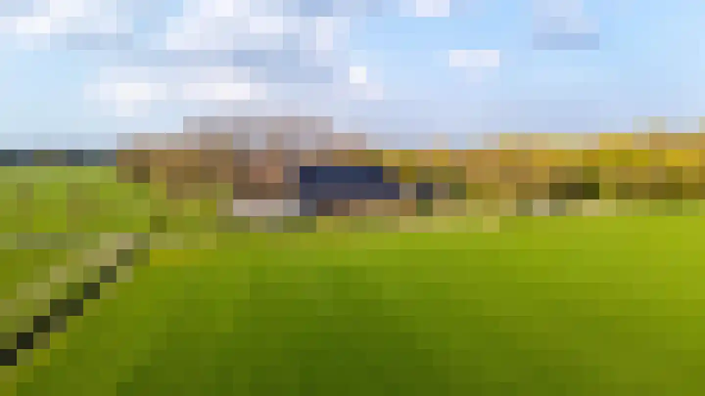 Oude Dijk 21 Bedum thumbnail 71
