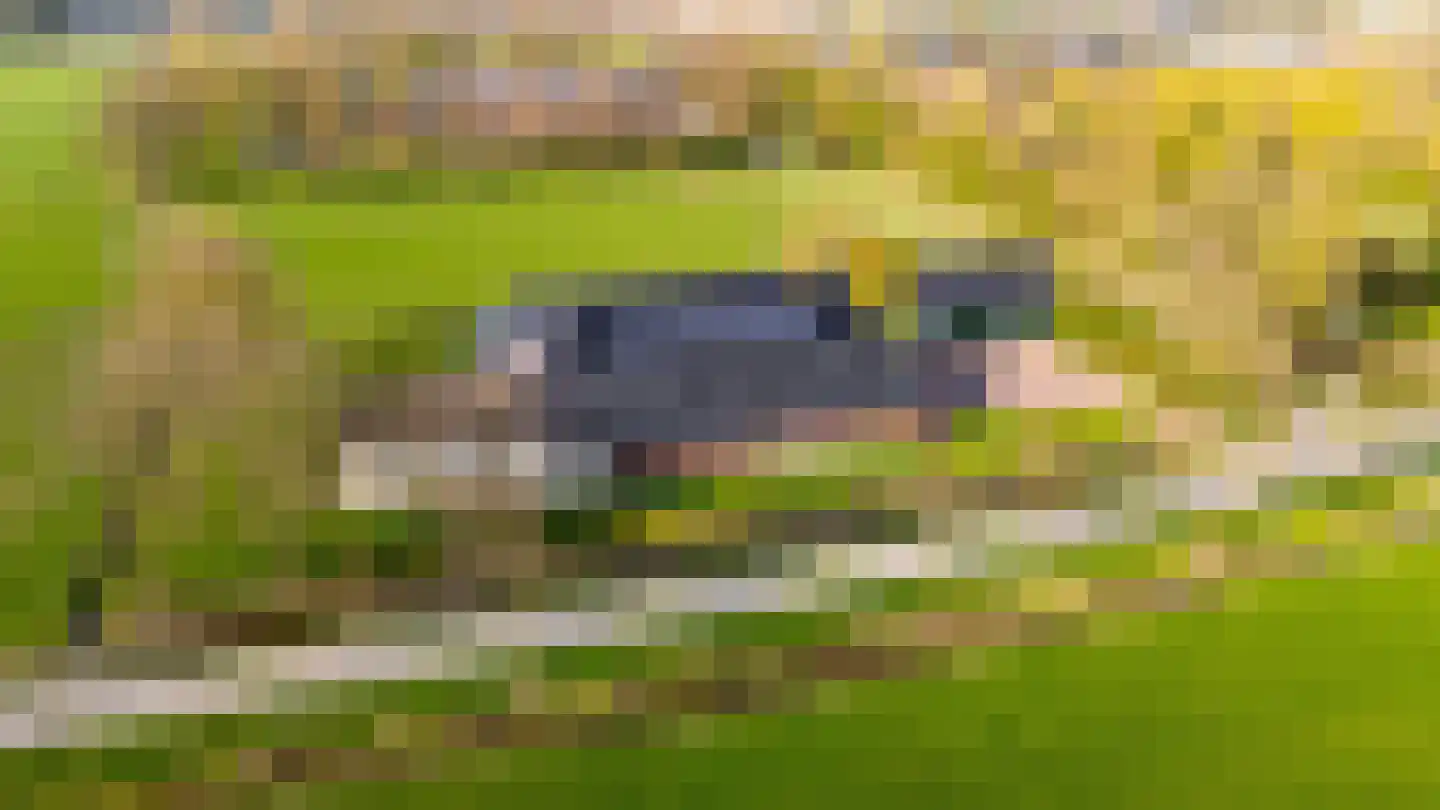 Oude Dijk 21 Bedum thumbnail 72