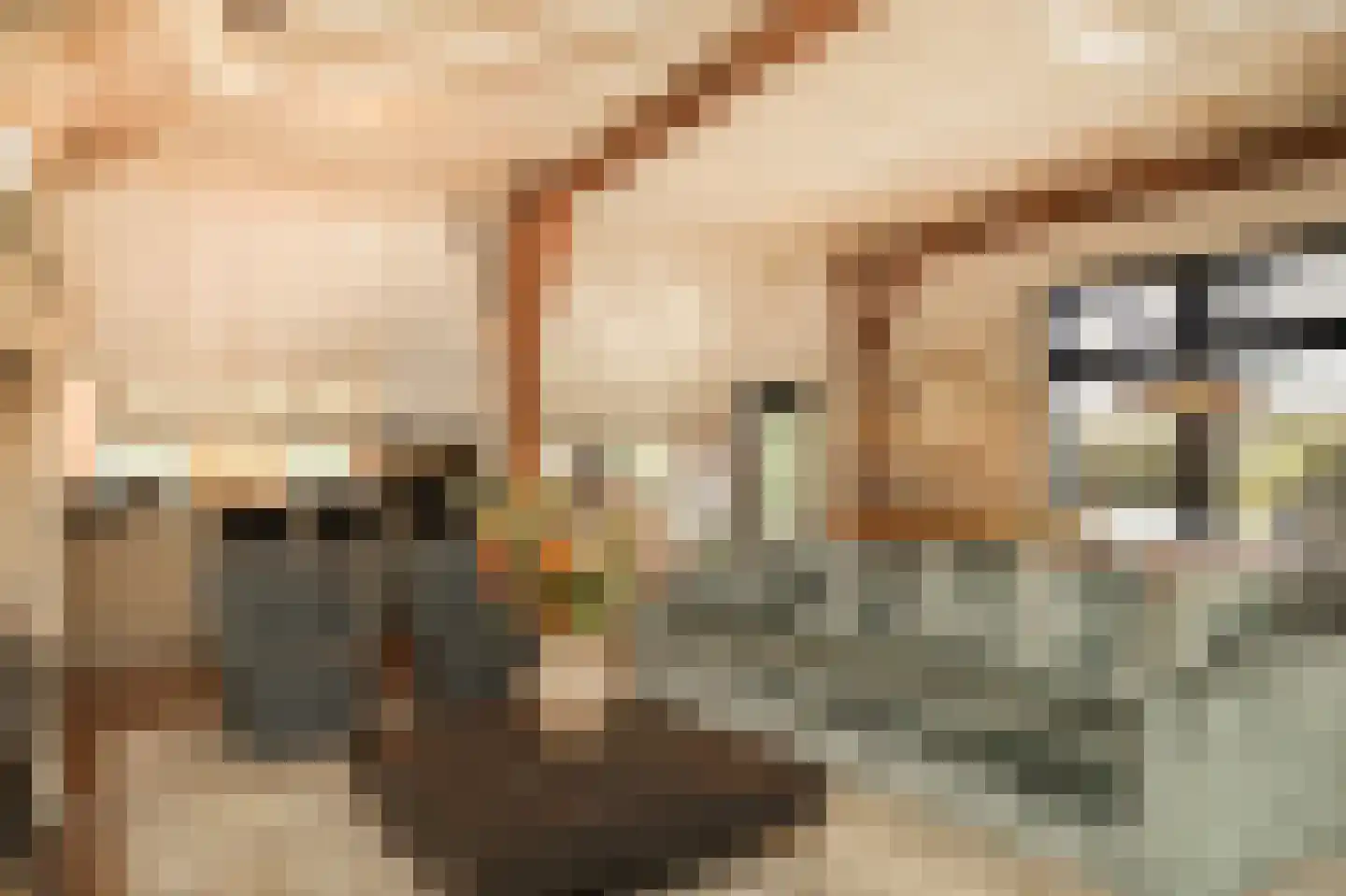 Oude Dijk 21 Ochten thumbnail 10