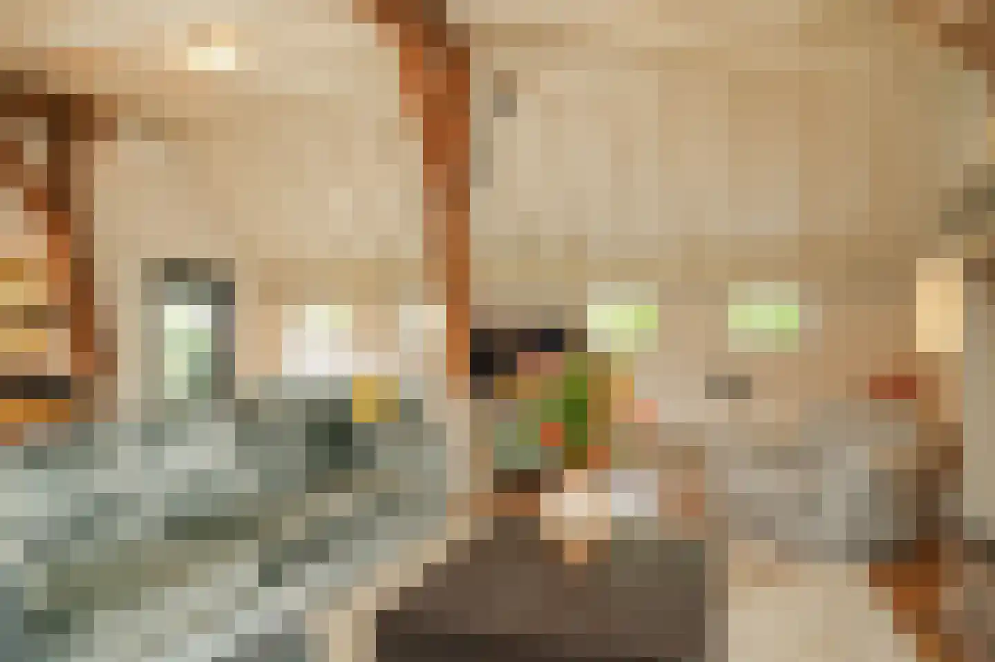 Oude Dijk 21 Ochten thumbnail 11
