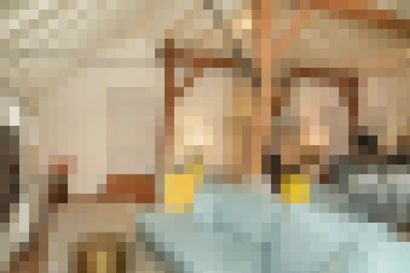 Oude Dijk 21 Ochten thumbnail 13