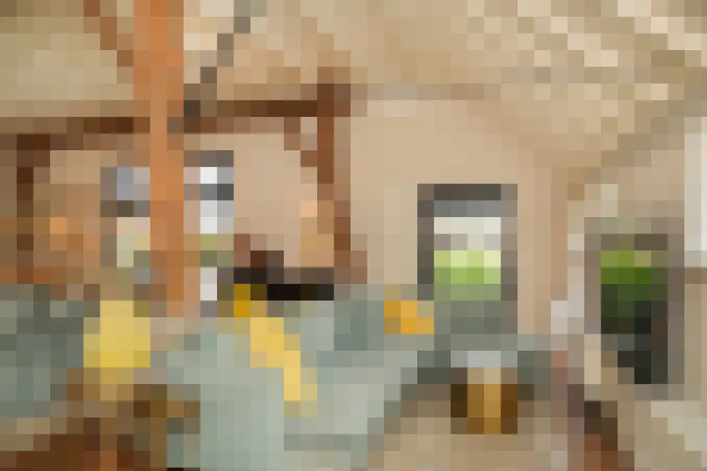 Oude Dijk 21 Ochten thumbnail 14