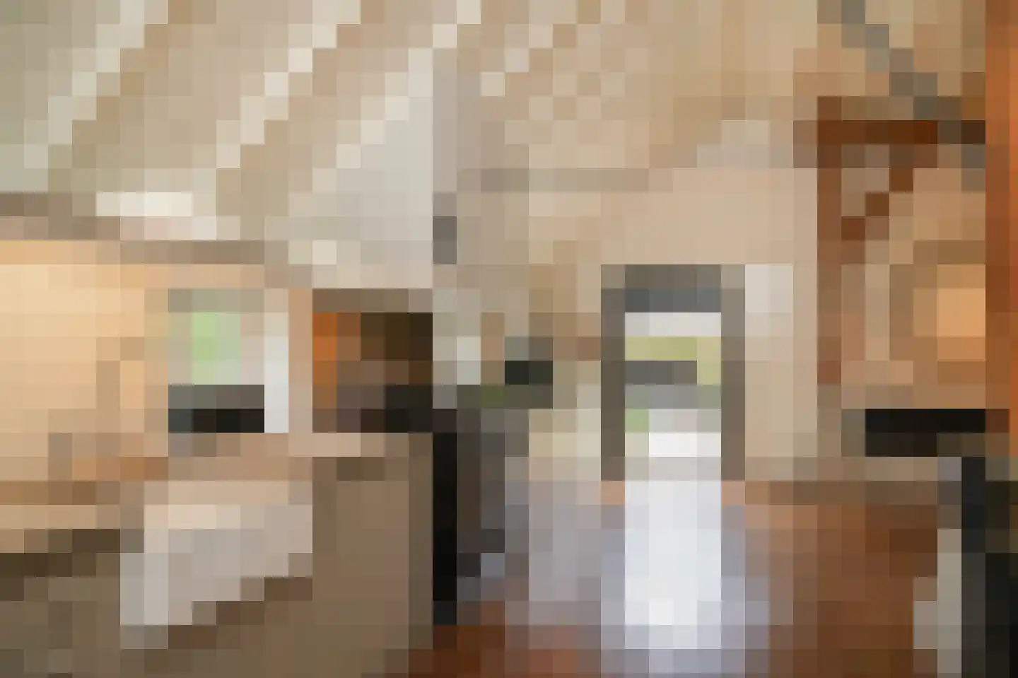 Oude Dijk 21 Ochten thumbnail 18