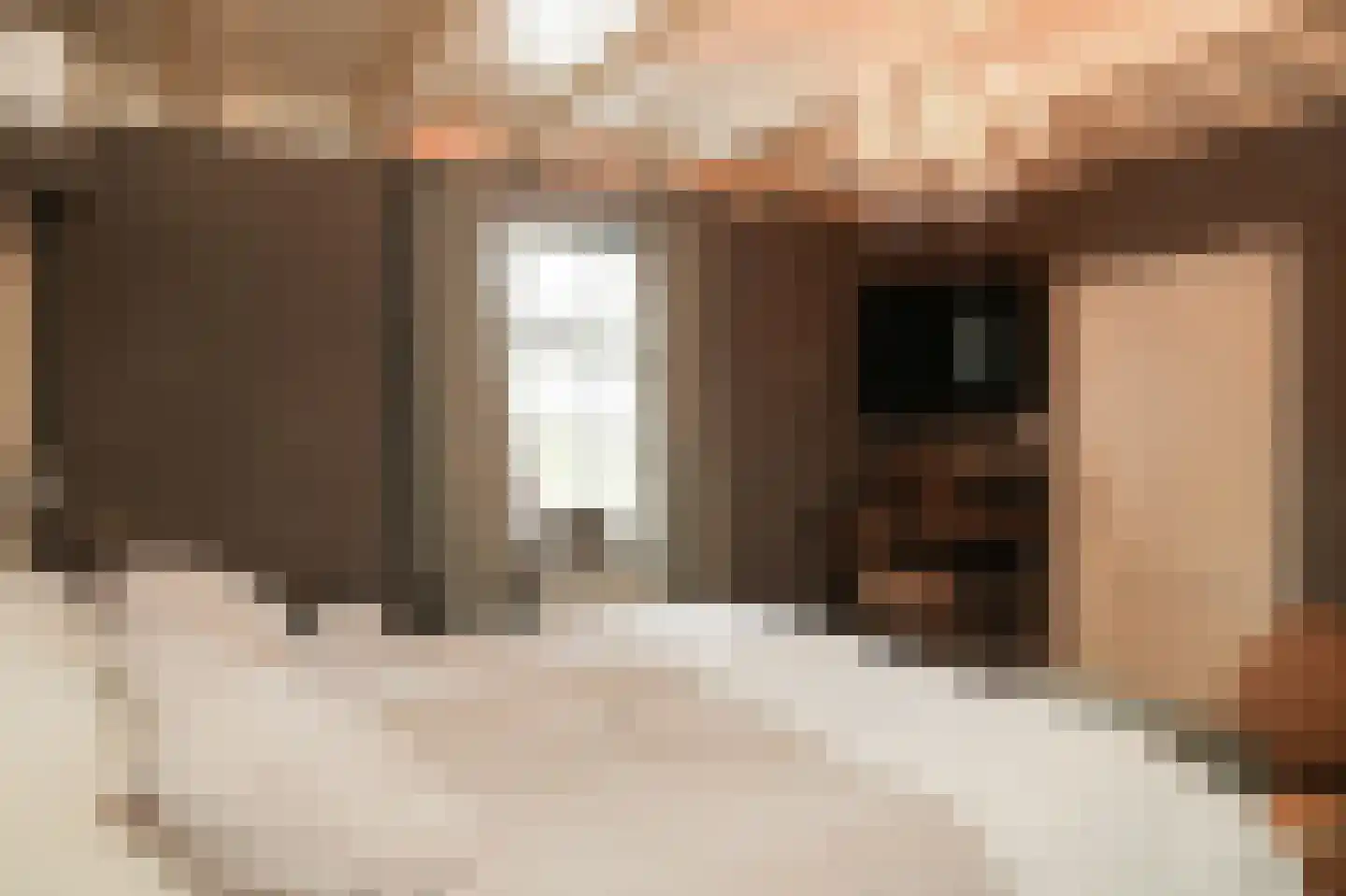 Oude Dijk 21 Ochten thumbnail 23