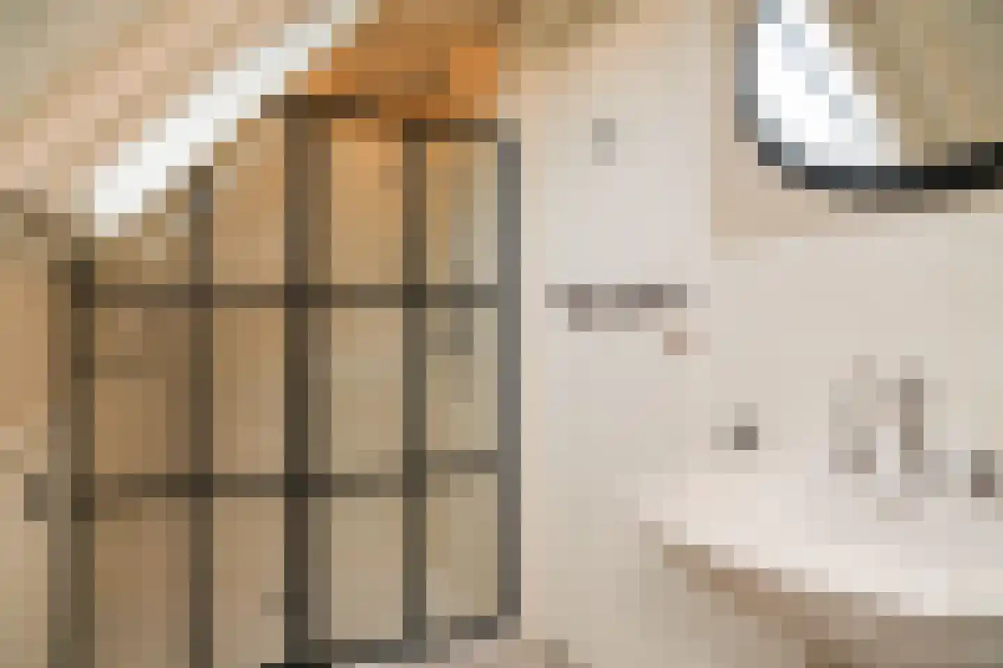 Oude Dijk 21 Ochten thumbnail 31