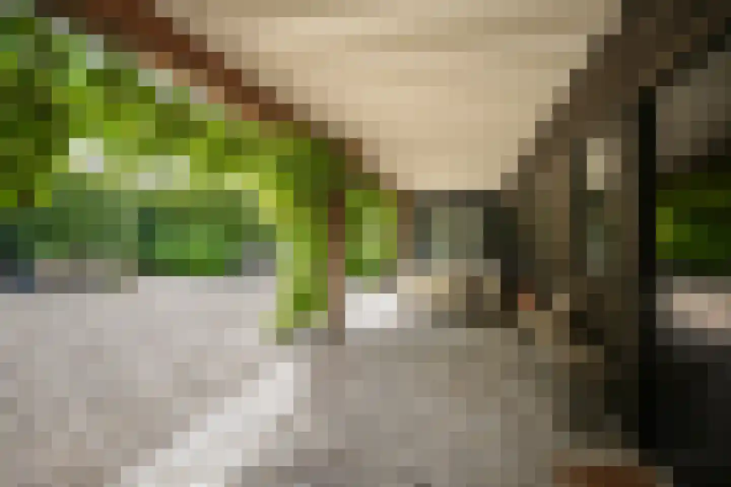 Oude Dijk 21 Ochten thumbnail 4