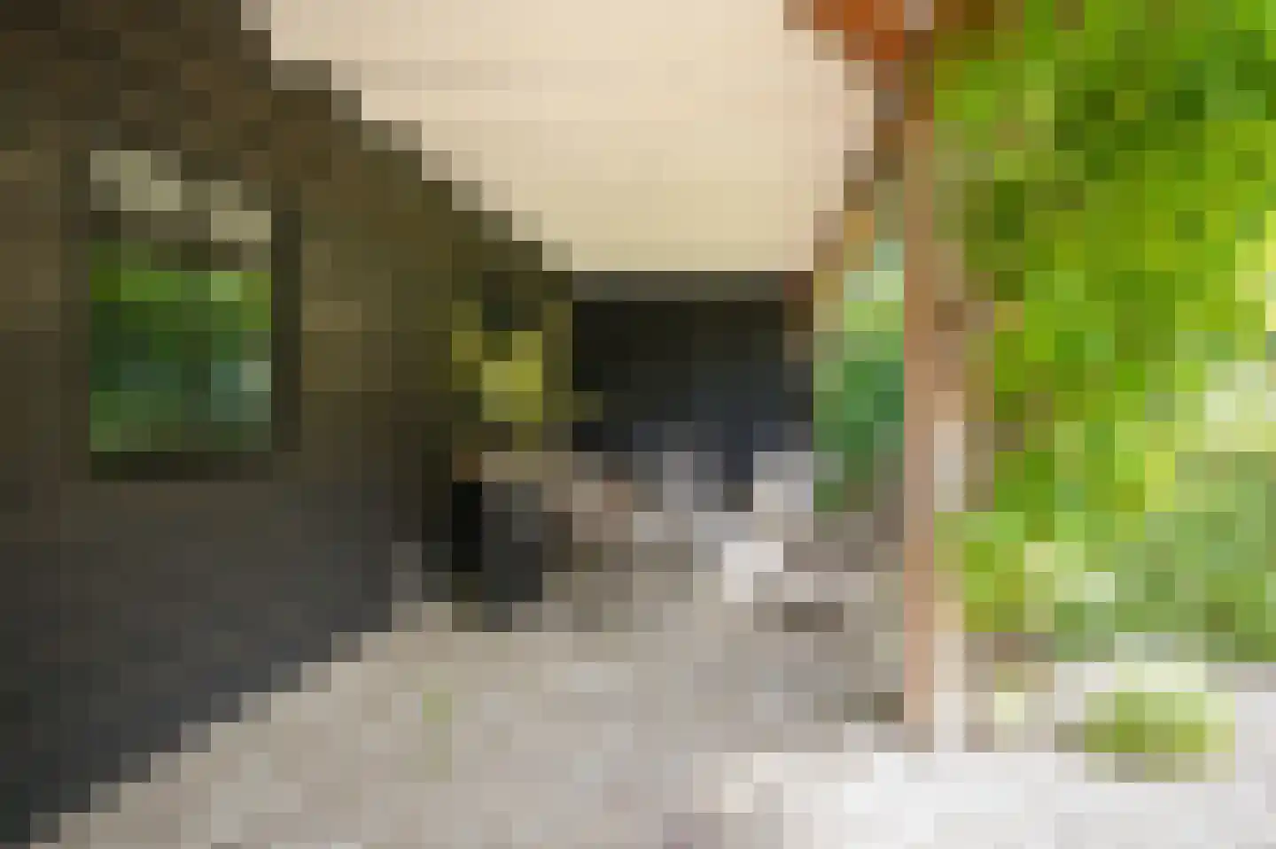 Oude Dijk 21 Ochten thumbnail 57