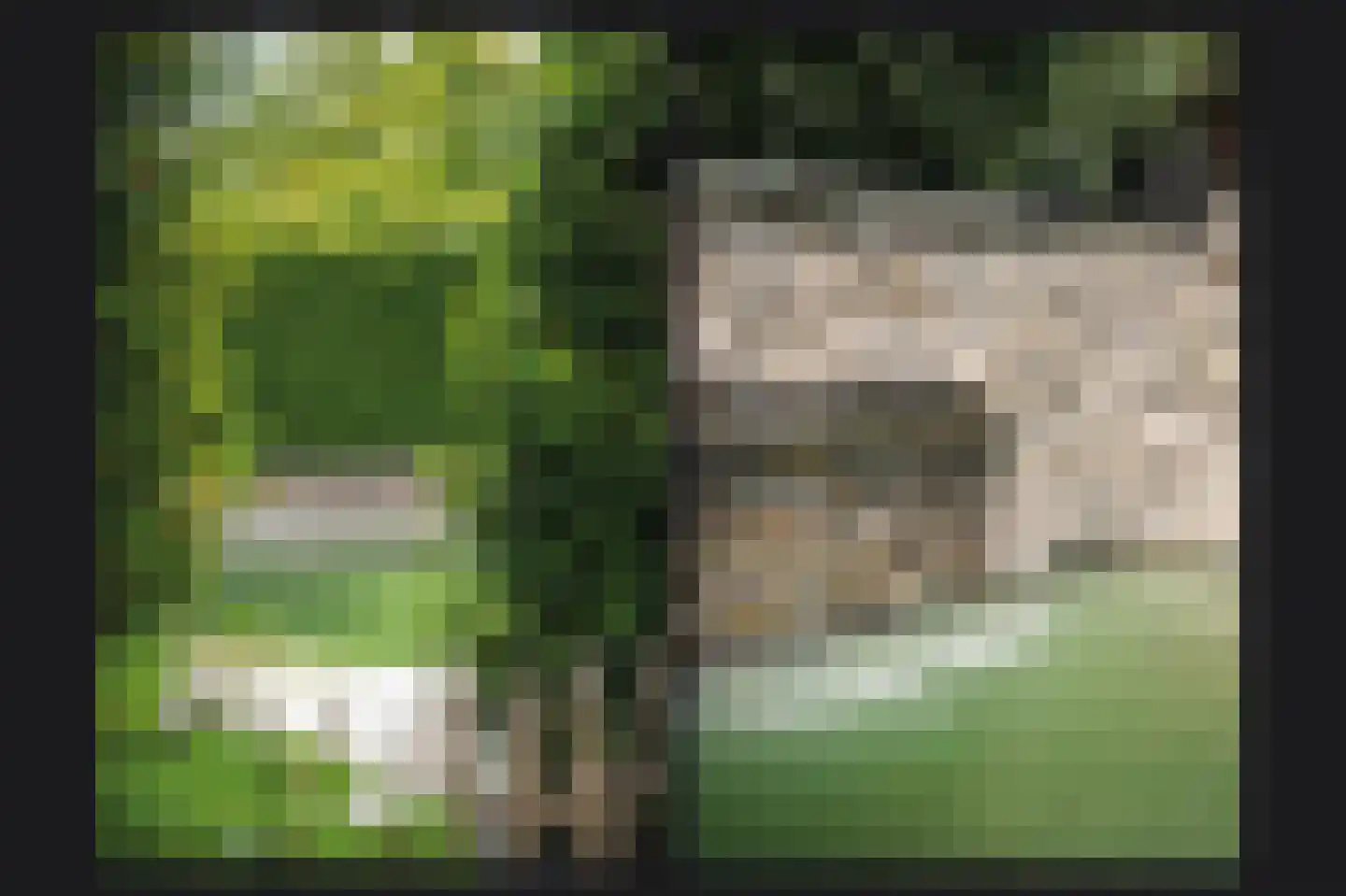 Oude Dijk 21 Ochten thumbnail 59