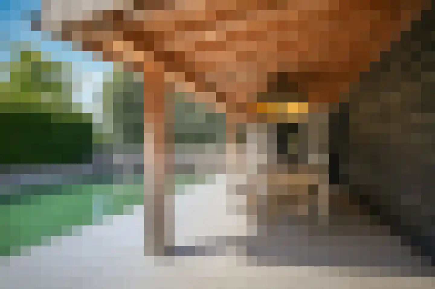 Oude Dijk 21 Ochten thumbnail 63