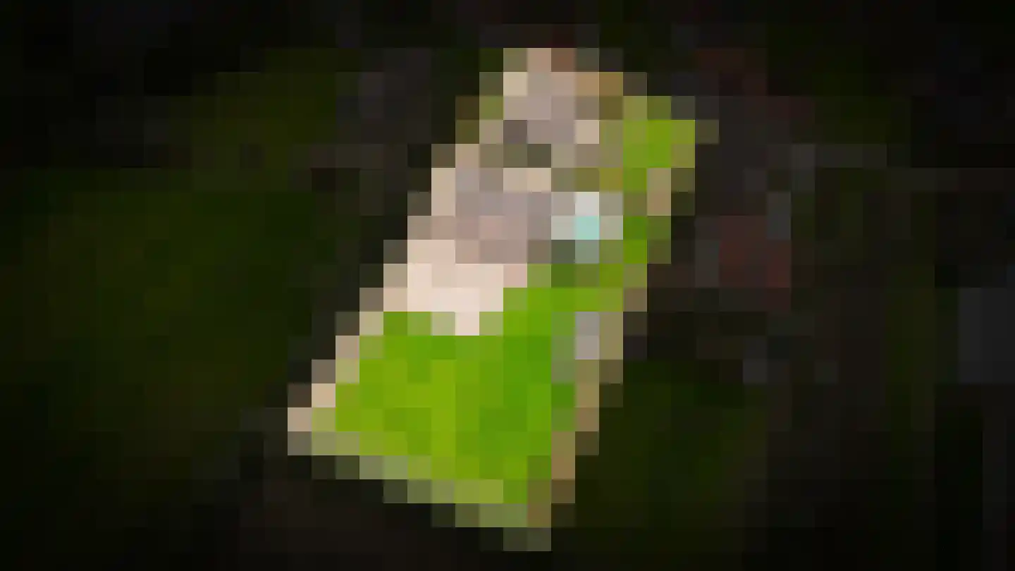Oude Dijk 21 Ochten thumbnail 68