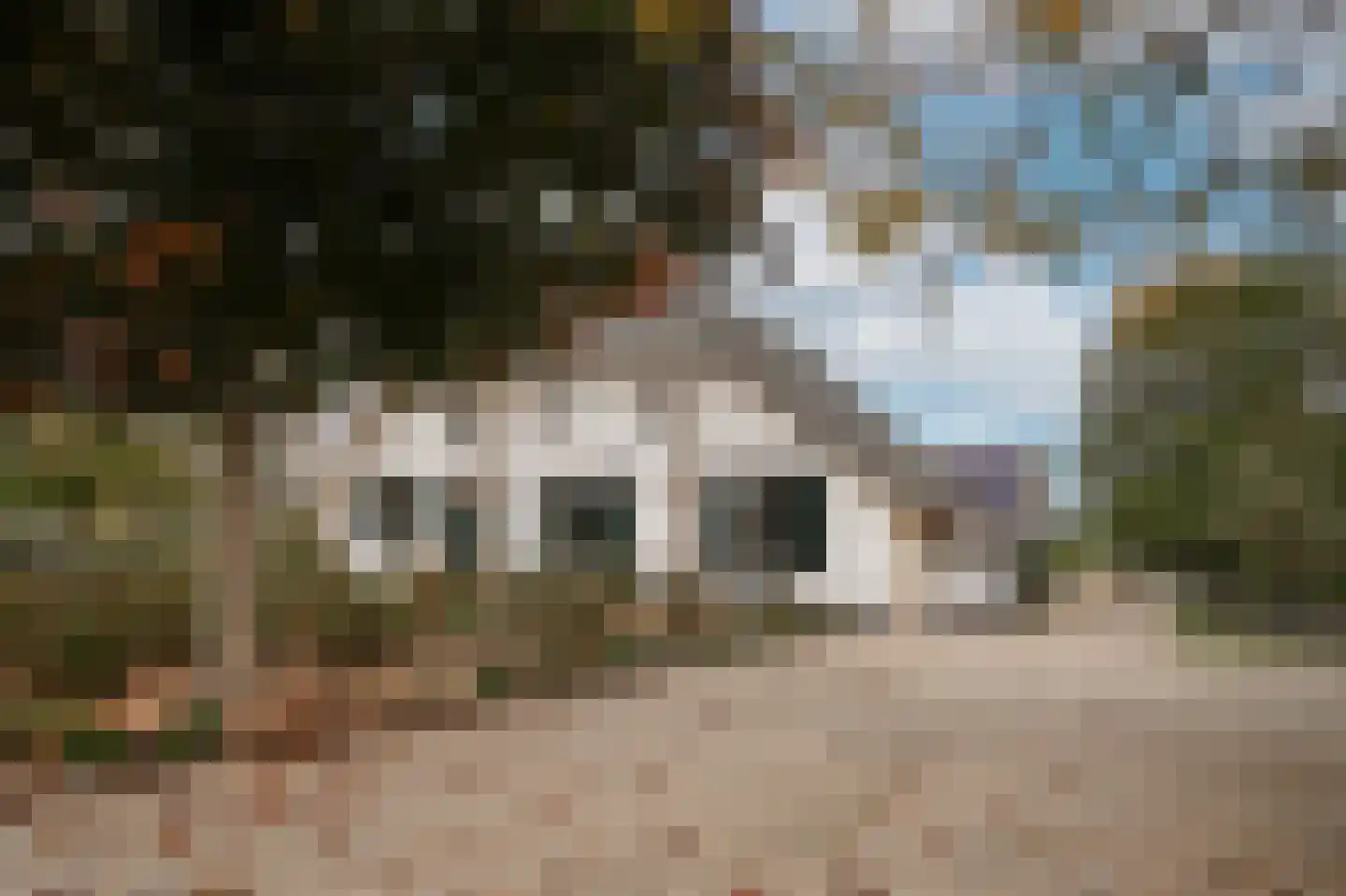 Oude Dijk 21 Ochten thumbnail 7