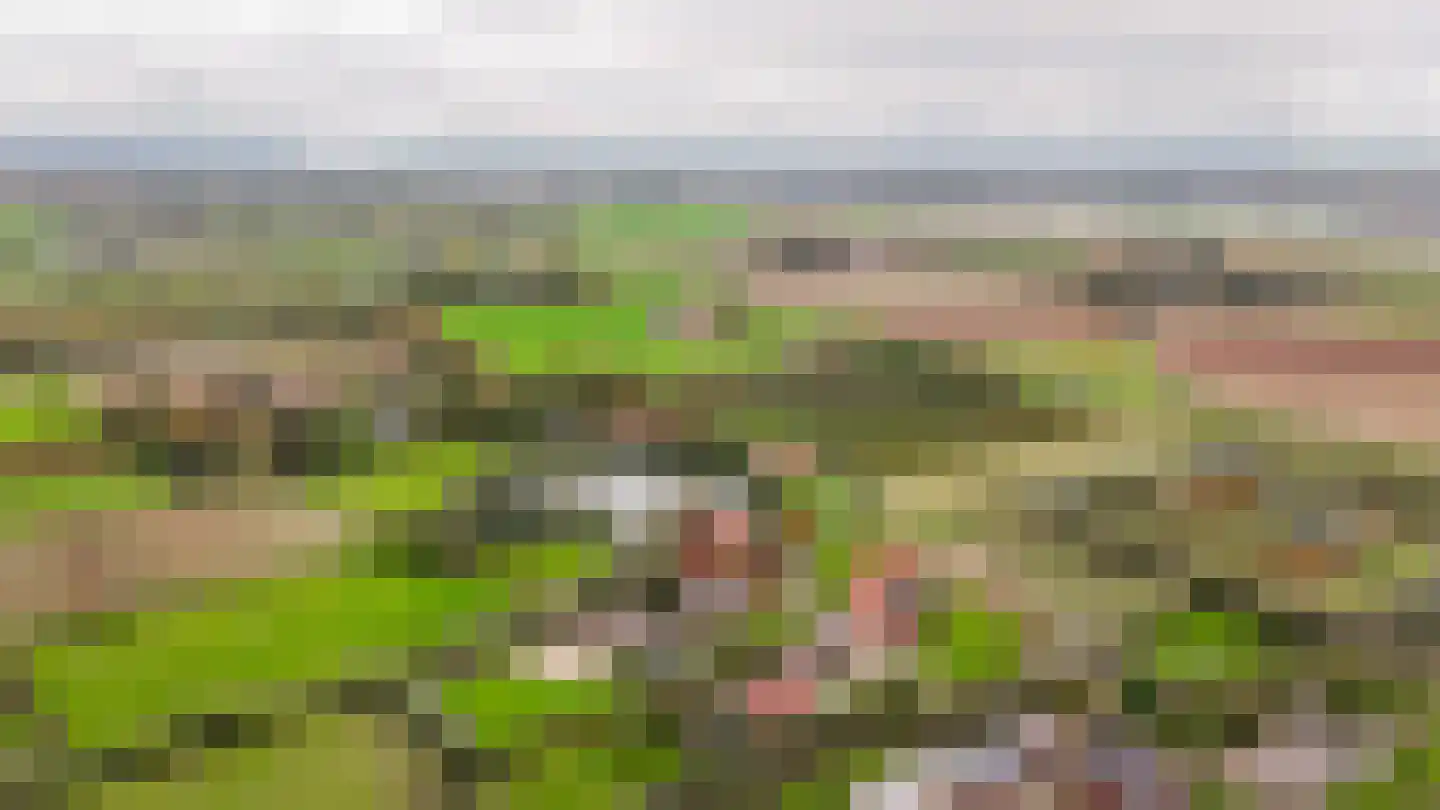 Oude Dijk 21 Ochten thumbnail 71