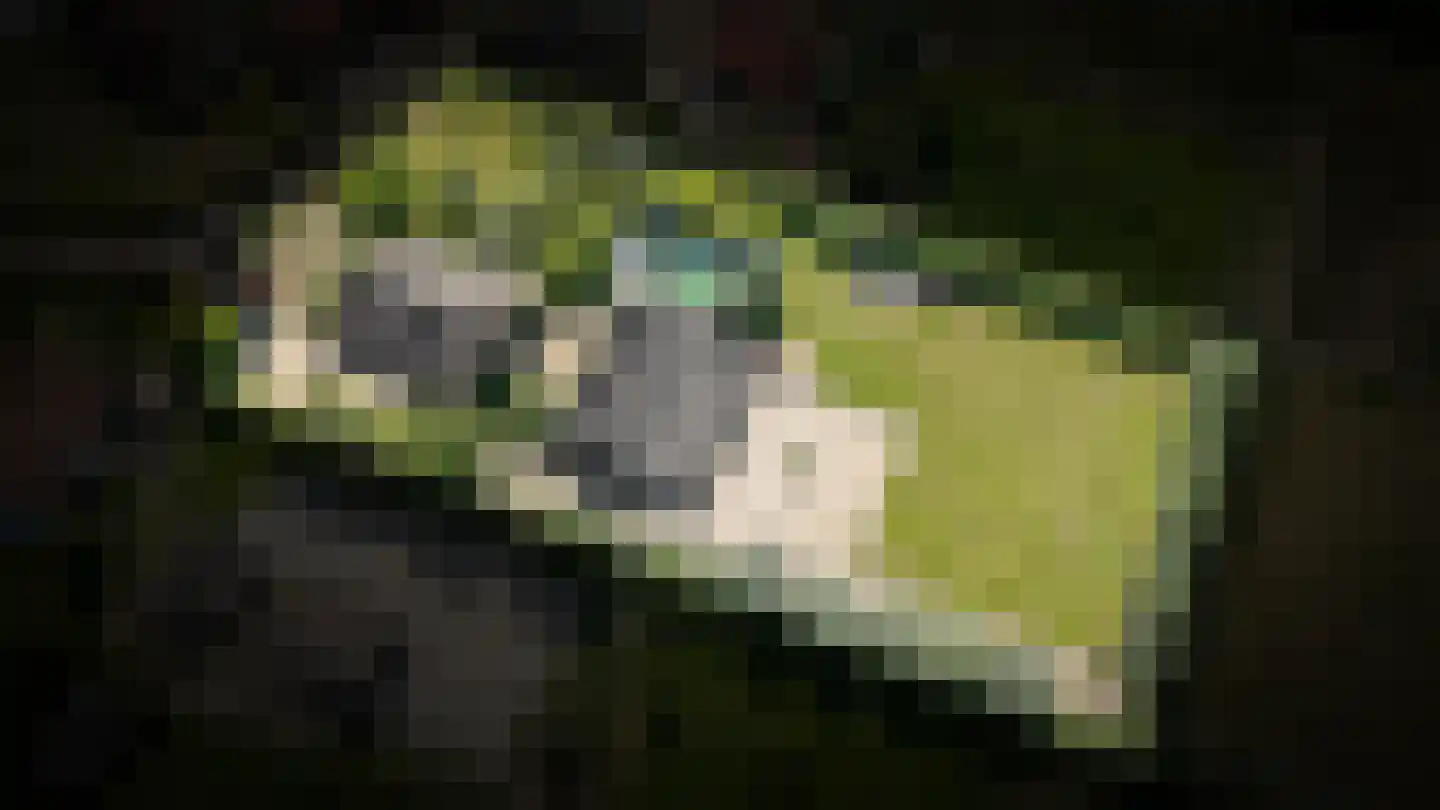 Oude Dijk 21 Ochten thumbnail 72