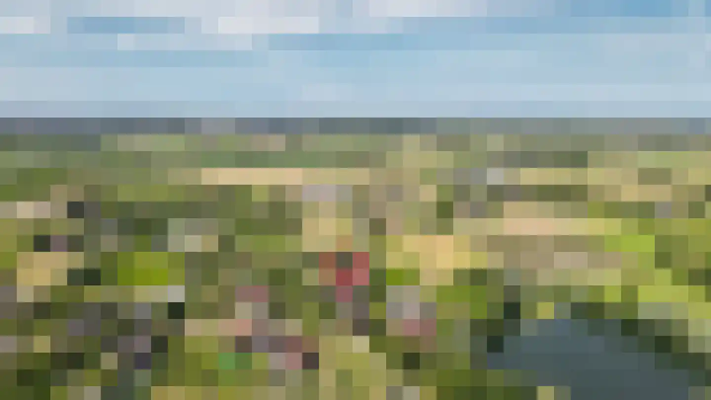 Oude Dijk 21 Ochten thumbnail 75