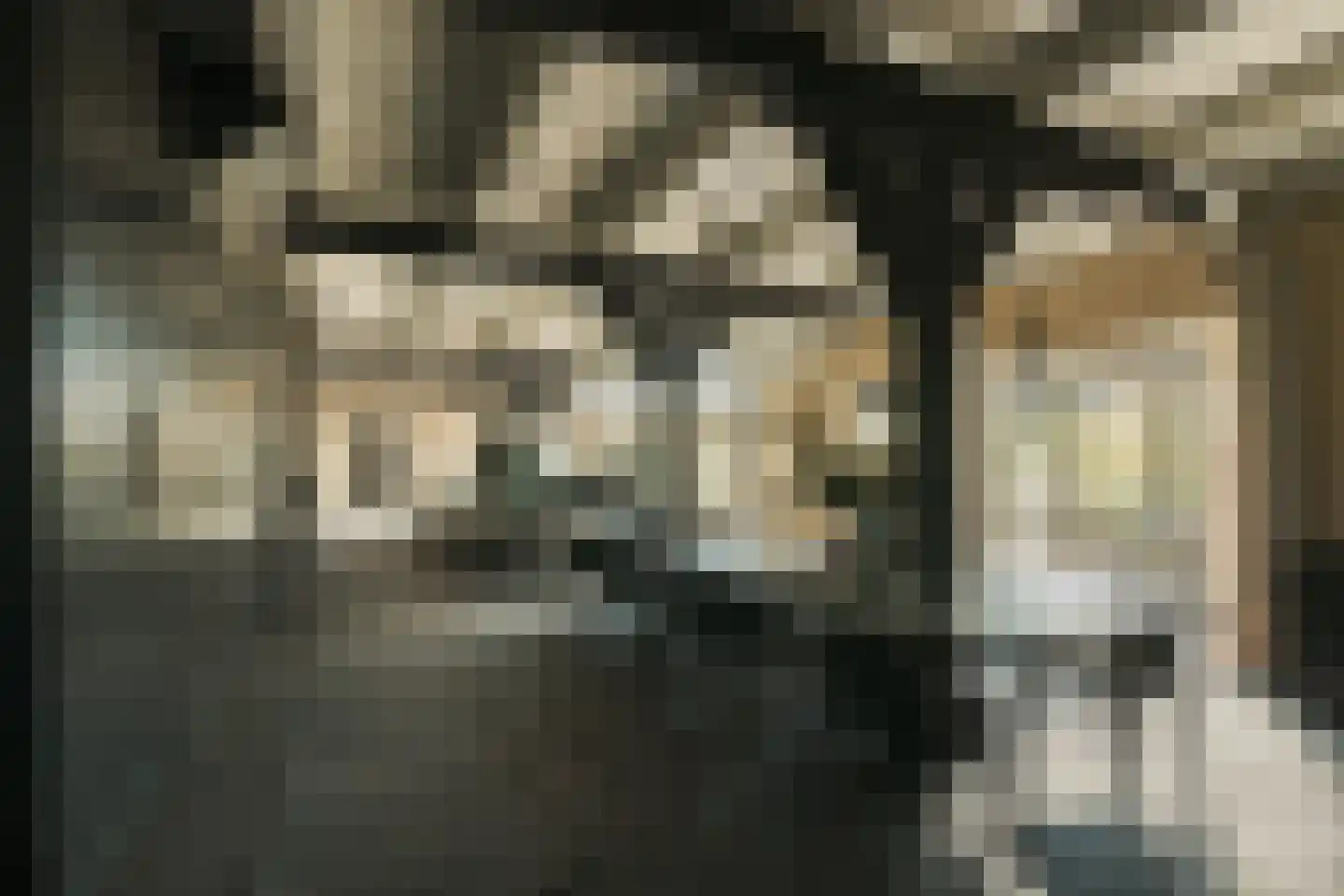 Oude Dijk 3 Abcoude thumbnail 10