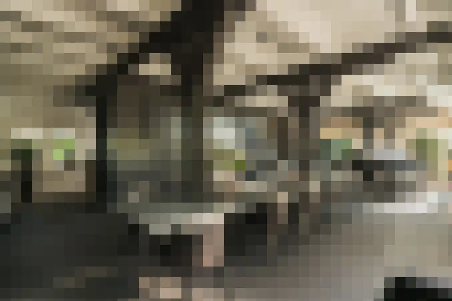 Oude Dijk 3 Abcoude thumbnail 11