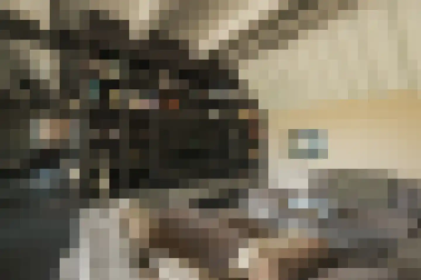 Oude Dijk 3 Abcoude thumbnail 15