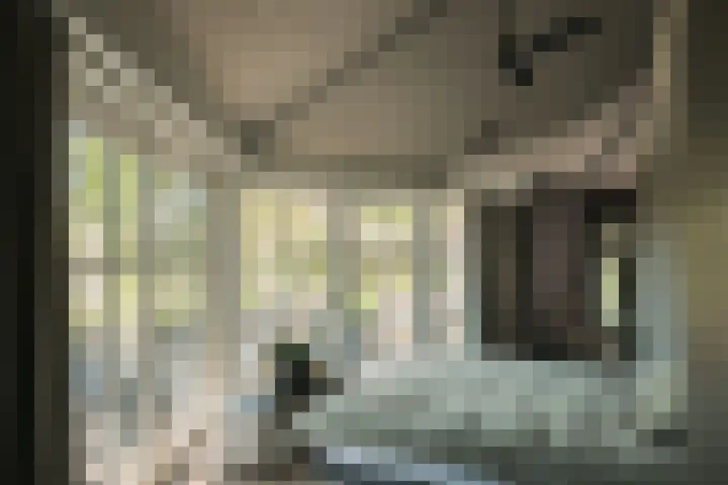Oude Dijk 3 Abcoude thumbnail 21