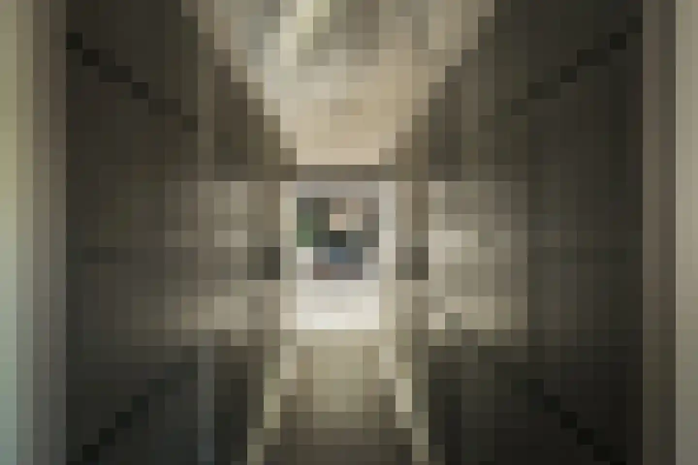 Oude Dijk 3 Abcoude thumbnail 22