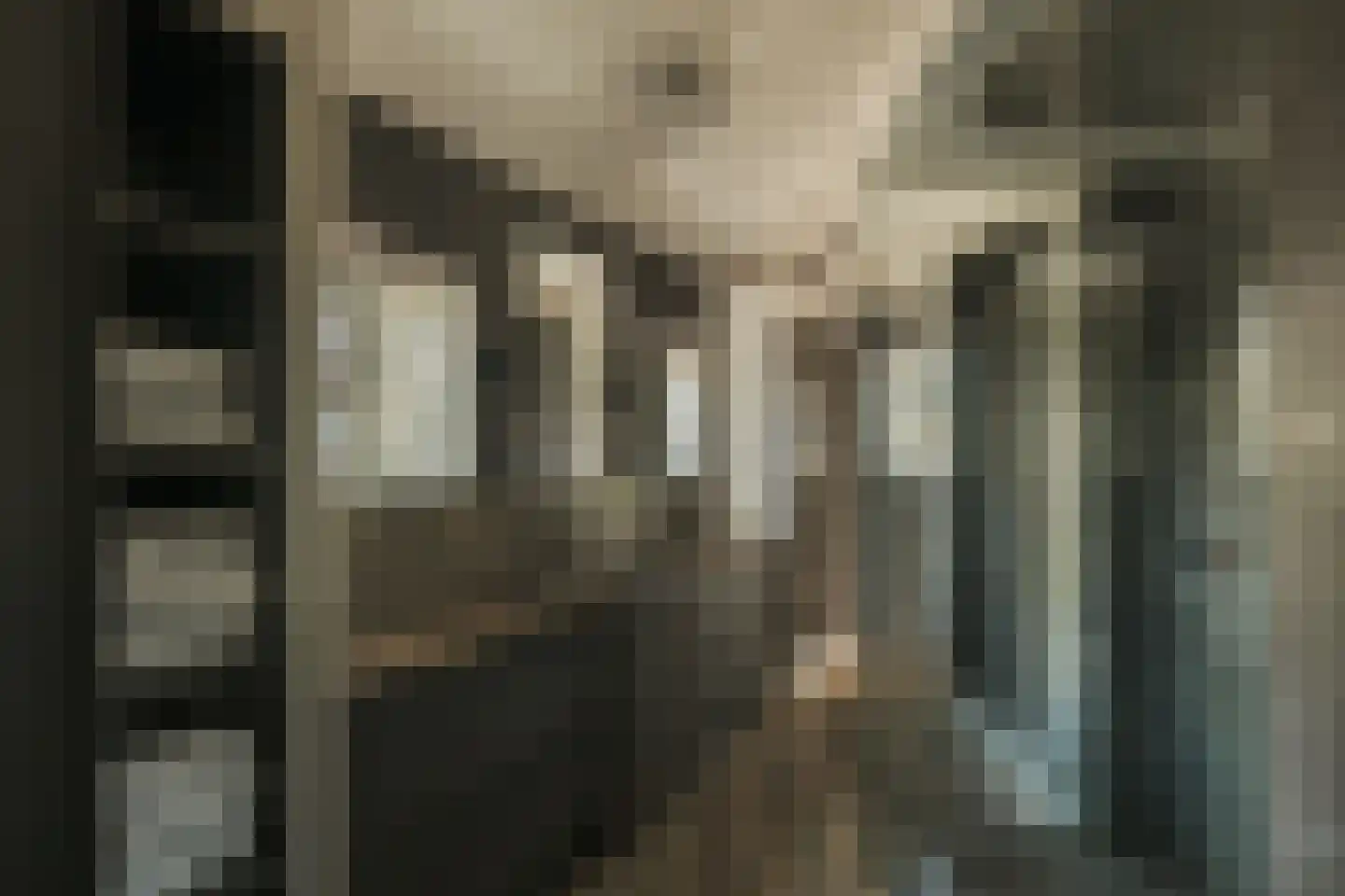 Oude Dijk 3 Abcoude thumbnail 25