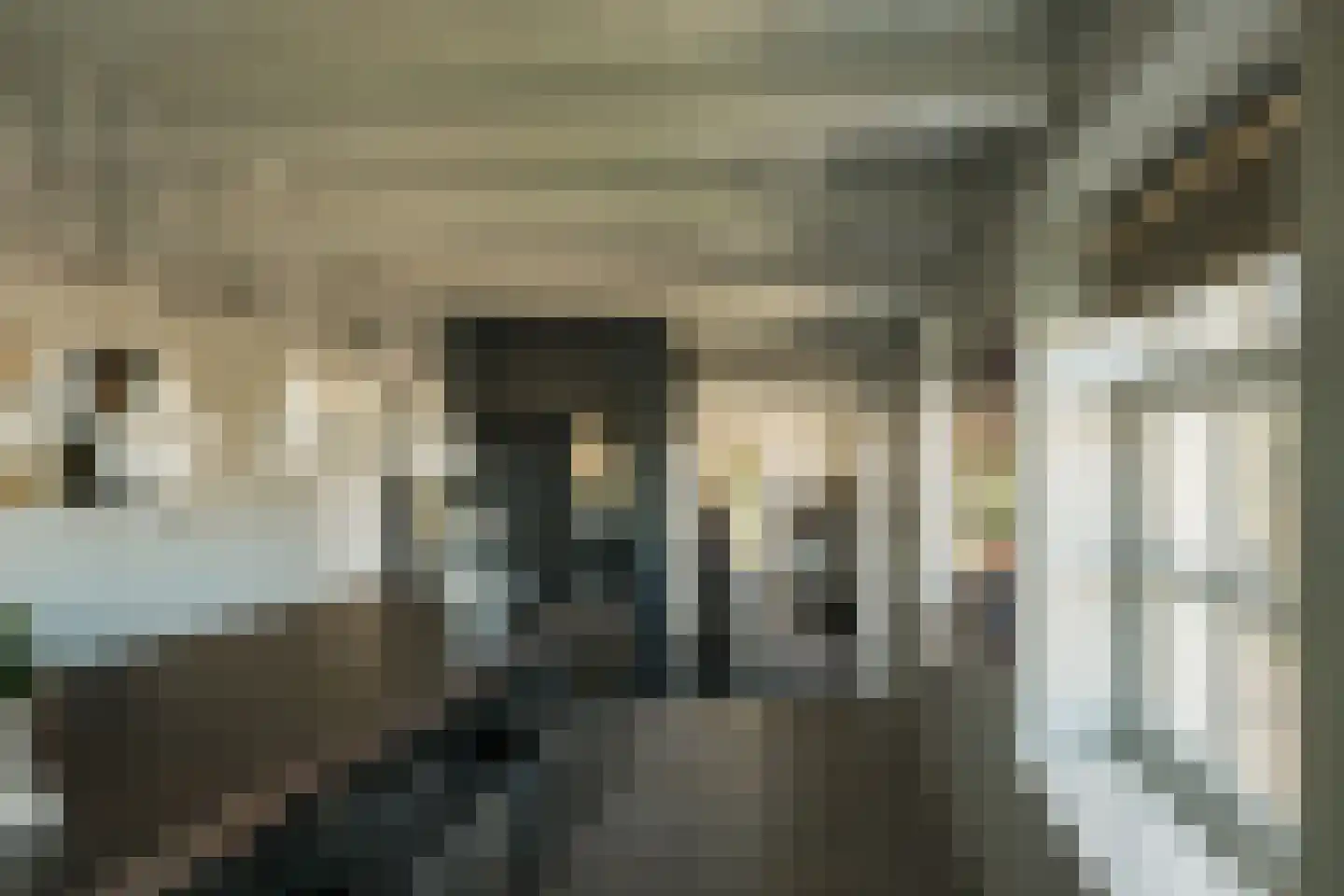 Oude Dijk 3 Abcoude thumbnail 36