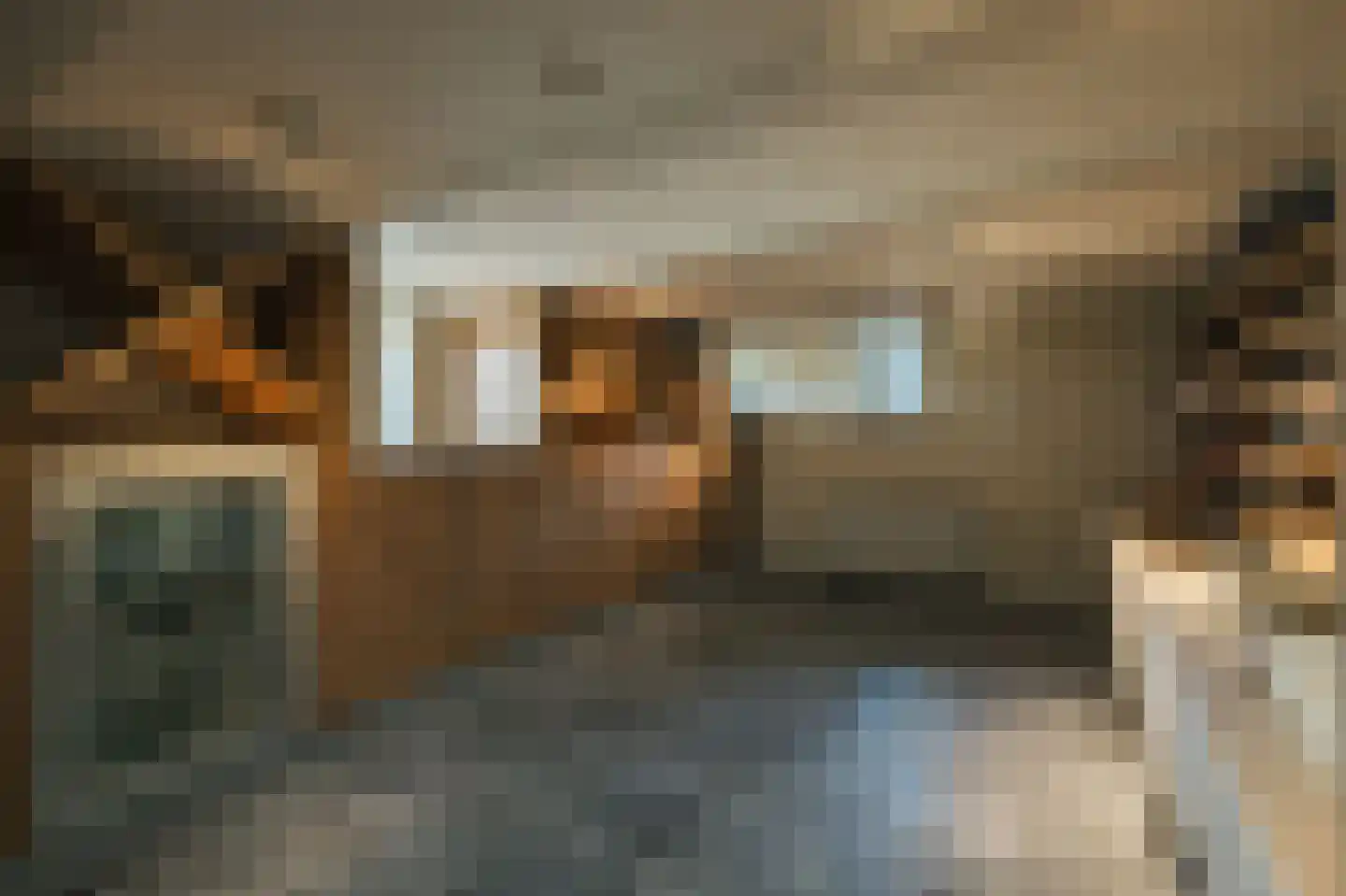 Oude Dijk 3 Abcoude thumbnail 37