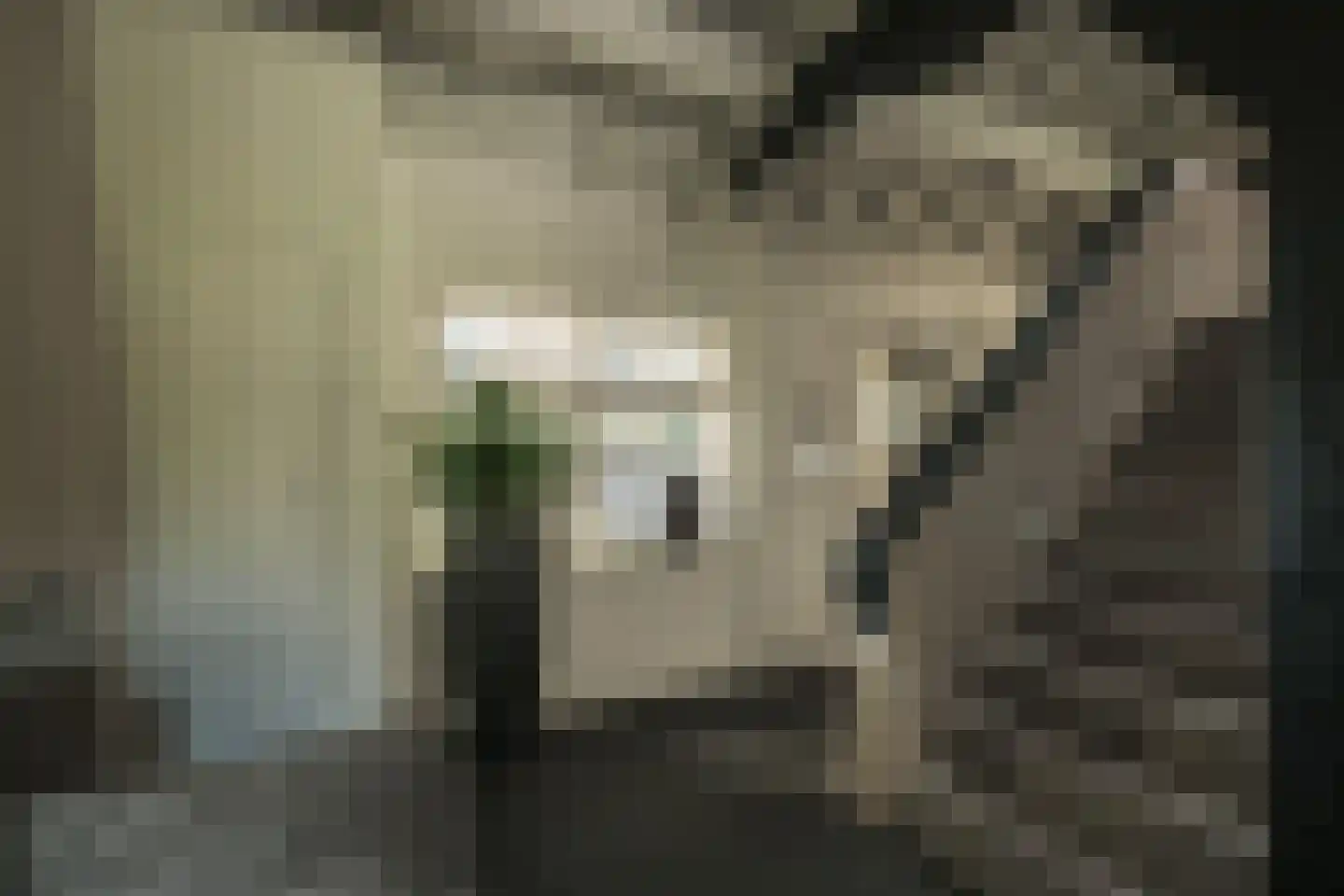 Oude Dijk 3 Abcoude thumbnail 39
