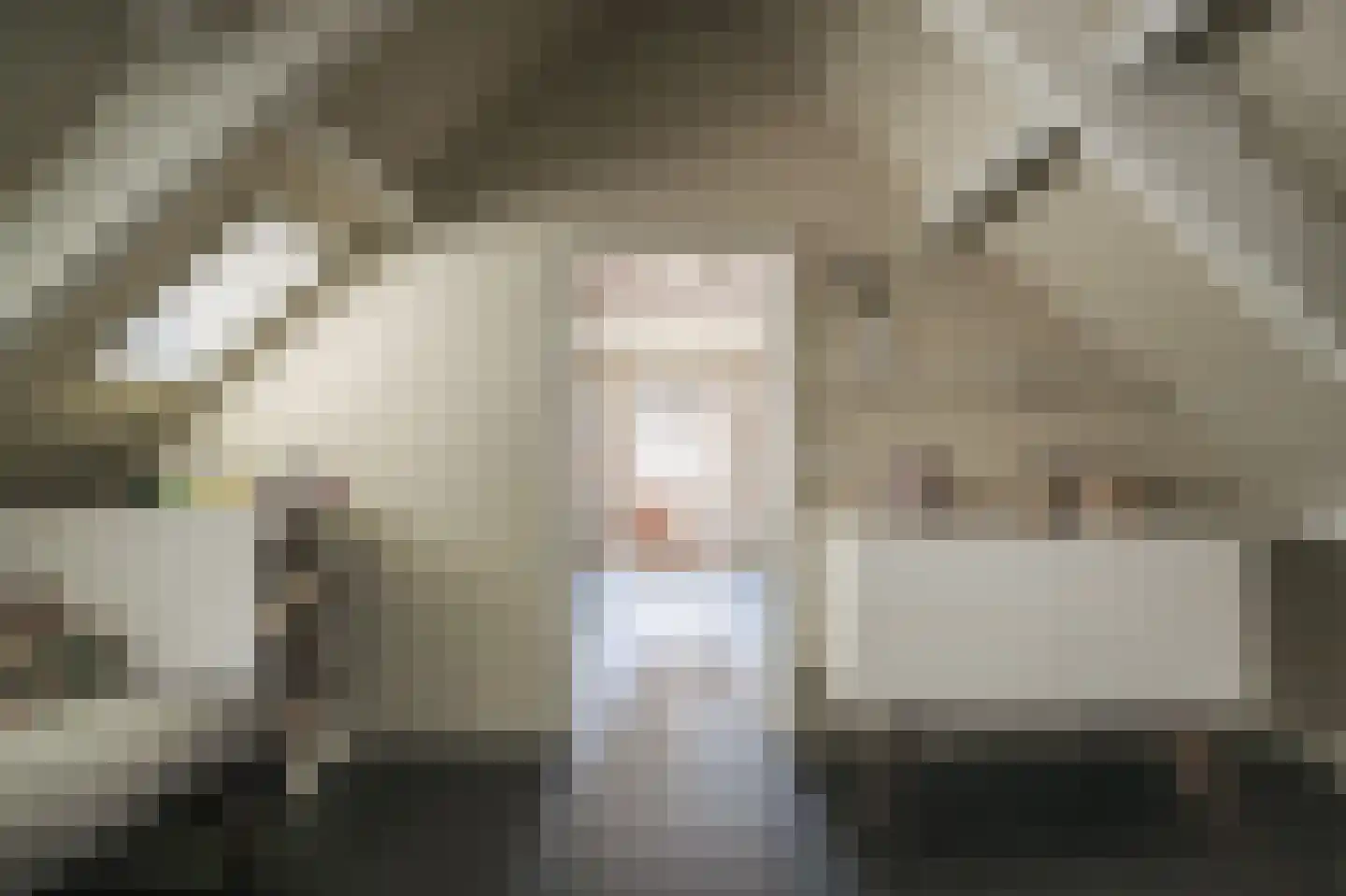 Oude Dijk 3 Abcoude thumbnail 42