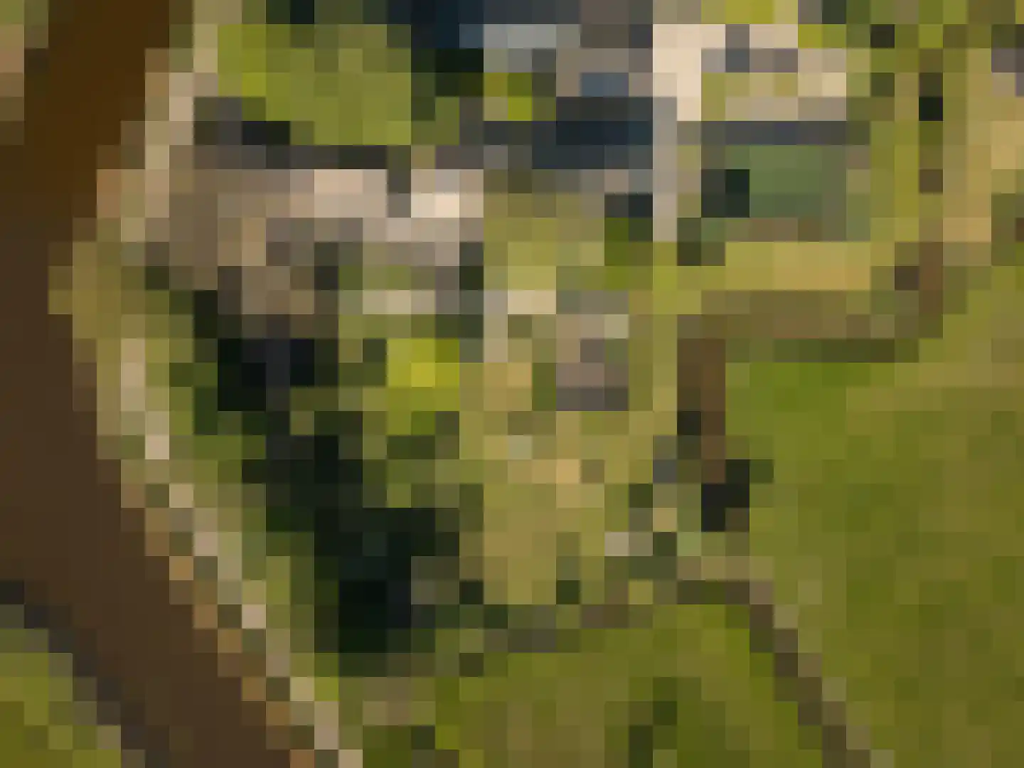 Oude Dijk 3 Abcoude thumbnail 5