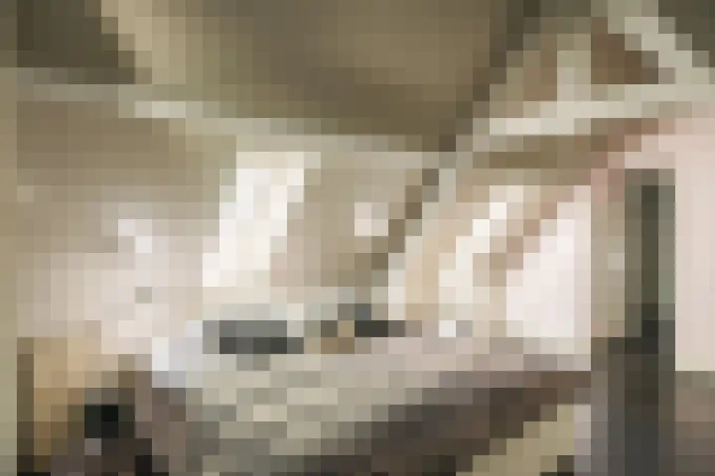 Oude Dijk 3 Abcoude thumbnail 50