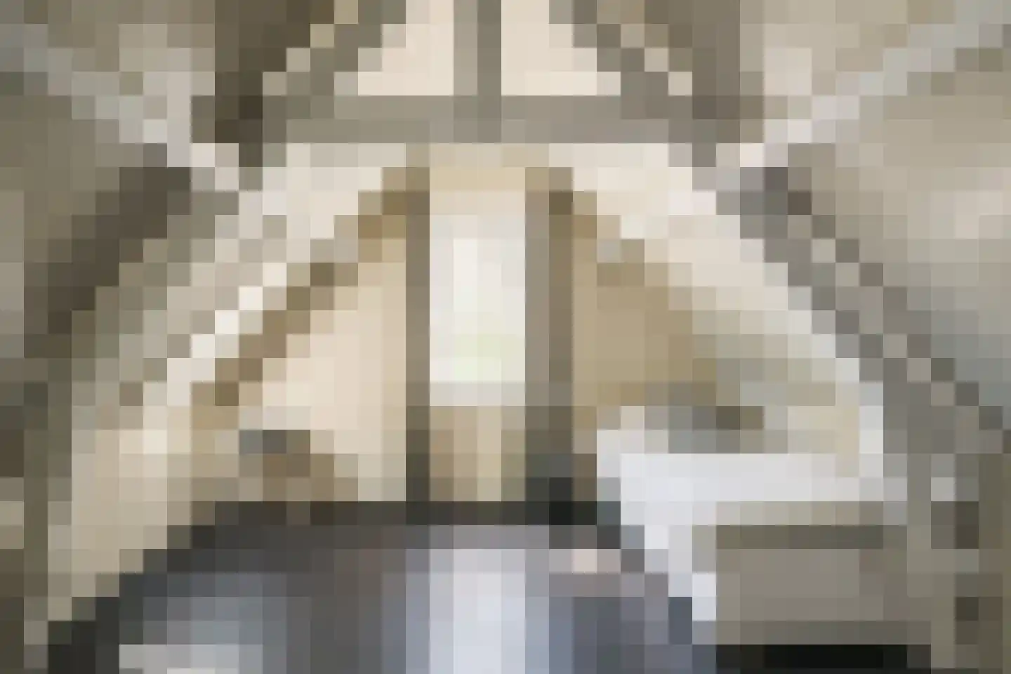 Oude Dijk 3 Abcoude thumbnail 51