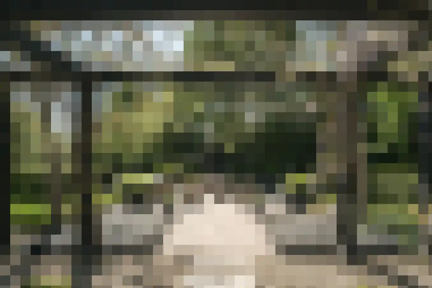 Oude Dijk 3 Abcoude thumbnail 55