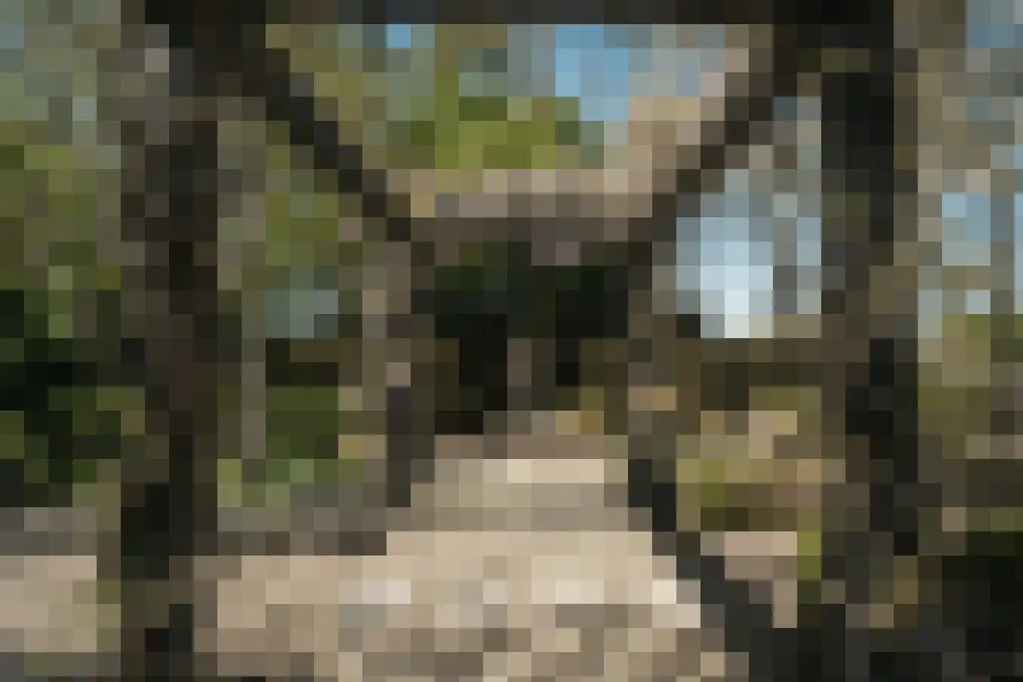 Oude Dijk 3 Abcoude thumbnail 56