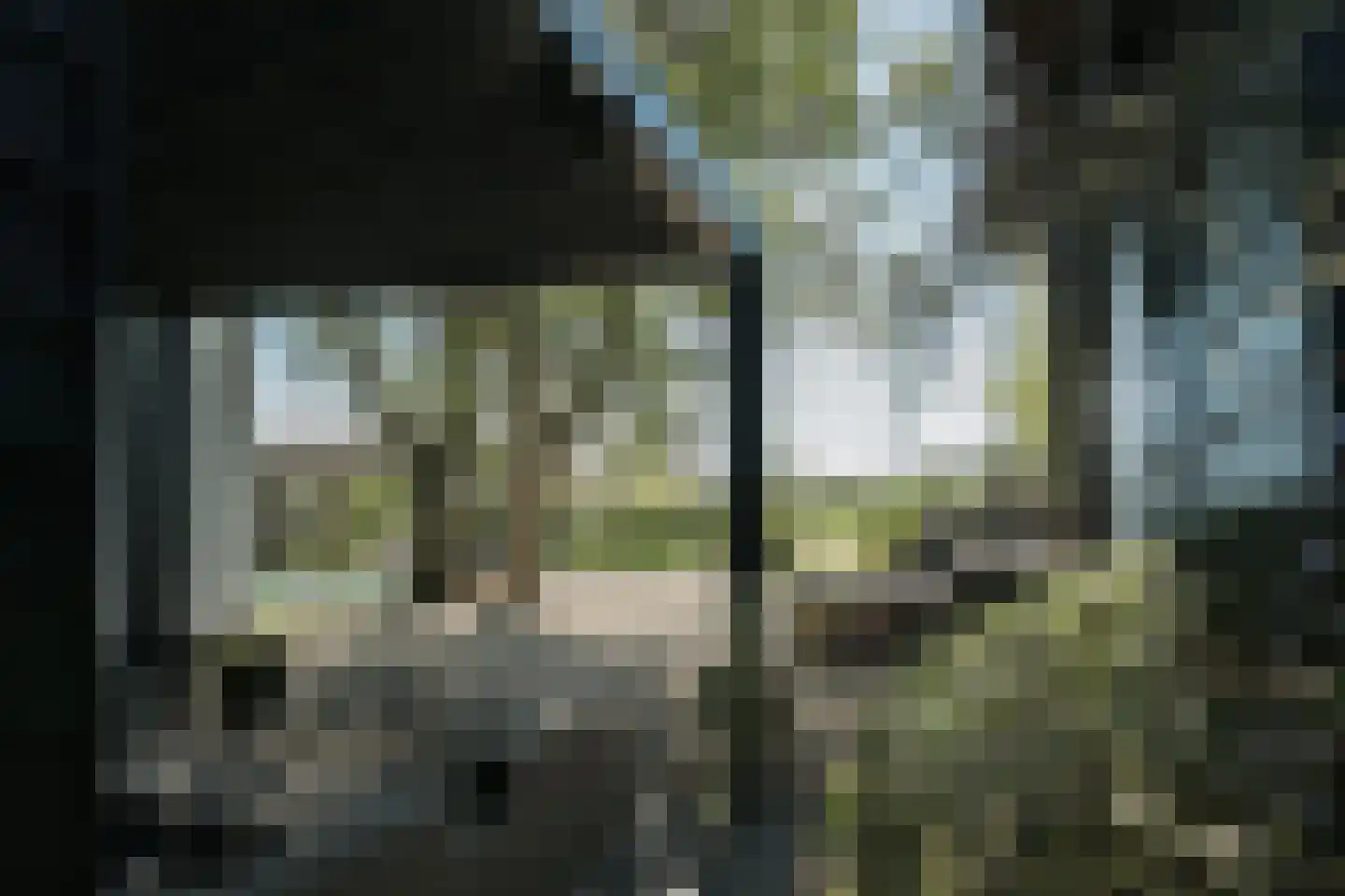 Oude Dijk 3 Abcoude thumbnail 63