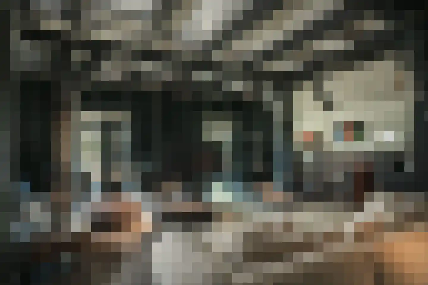 Oude Dijk 3 Abcoude thumbnail 66